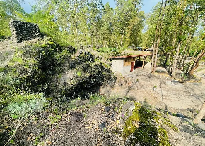 Alojamento de Turismo Selvagem Bamboo Austin Mountbatur Baturaja (Bali)