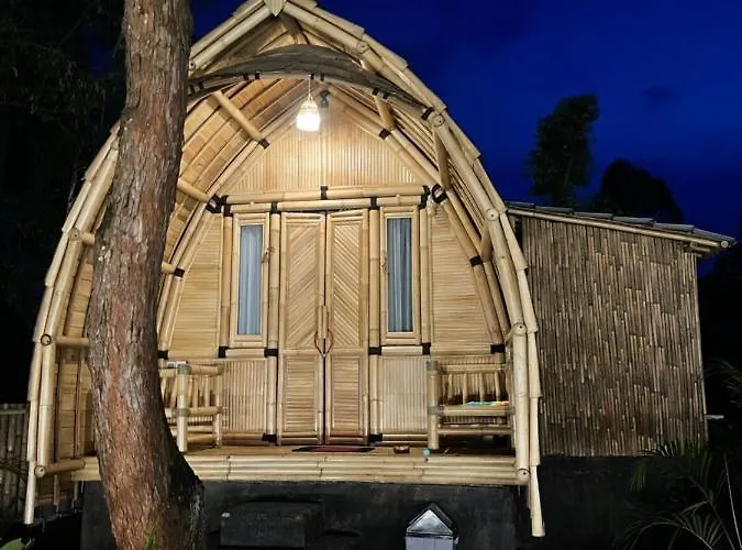Bamboo Austin Mountbatur *