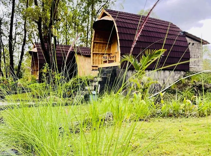 Bamboo Austin Mountbatur *
